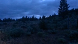 photo of high desert at about 5am