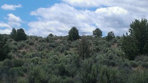 photo of the Sierra High Desert